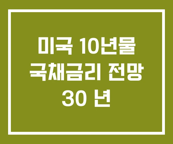 미국 10년물 국채금리 전망 30 년