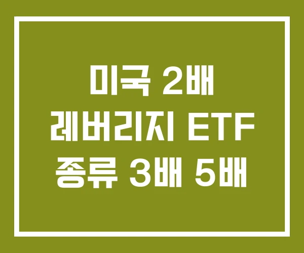 미국 2배 레버리지 ETF 종류 3배 5배