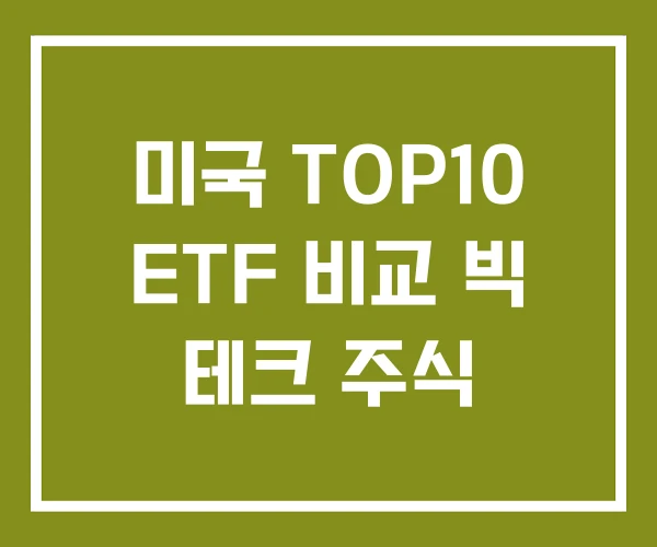미국 TOP10 ETF 비교 빅 테크 주식