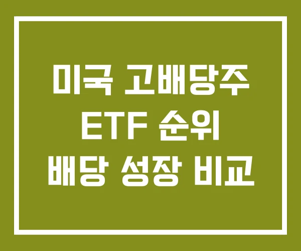 미국 고배당주 ETF 순위 배당 성장 비교