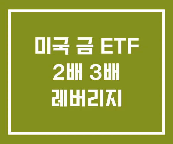 미국 금 ETF 2배 3배 레버리지