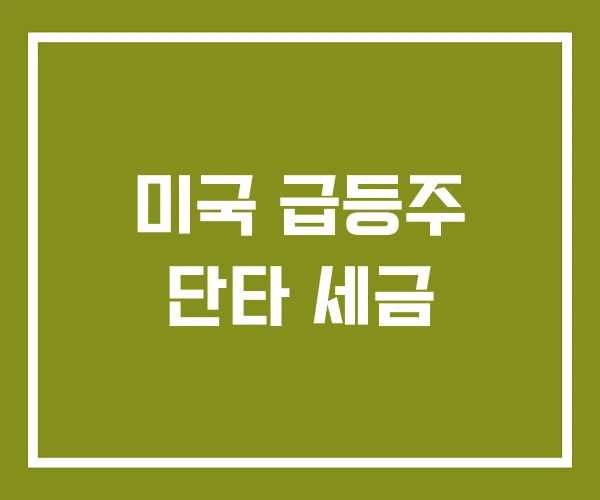 미국 급등주 단타 세금