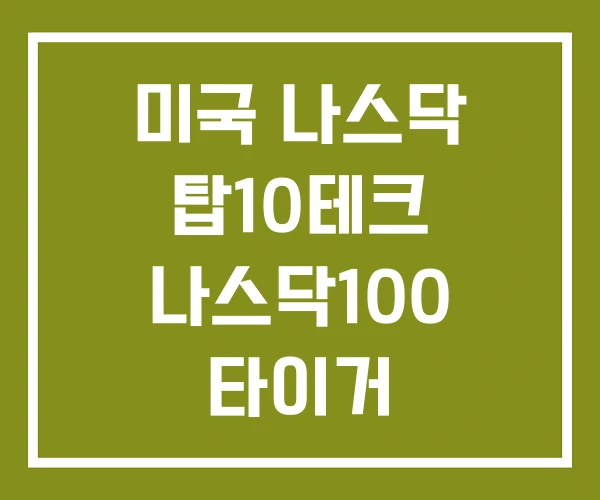 미국 나스닥 탑10테크 나스닥100 타이거