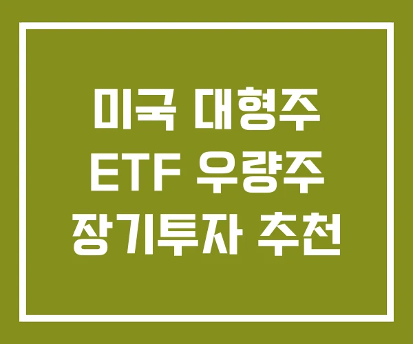미국 대형주 ETF 우량주 장기투자 추천