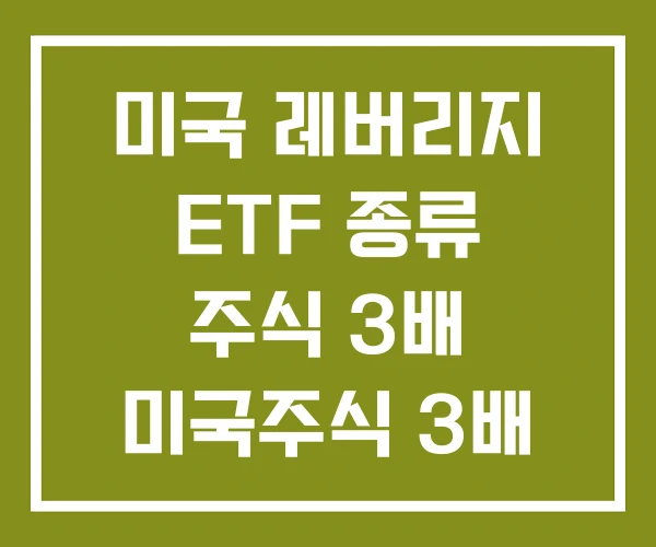 미국 레버리지 ETF 종류 주식 3배 미국주식 3배