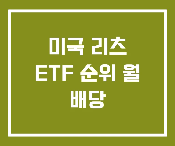 미국 리츠 ETF 순위 월 배당