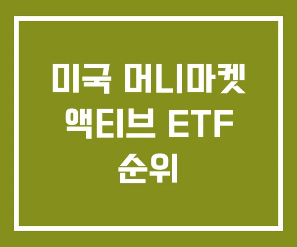 미국 머니마켓 액티브 ETF 순위