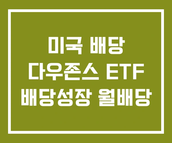 미국 배당 다우존스 ETF 배당성장 월배당