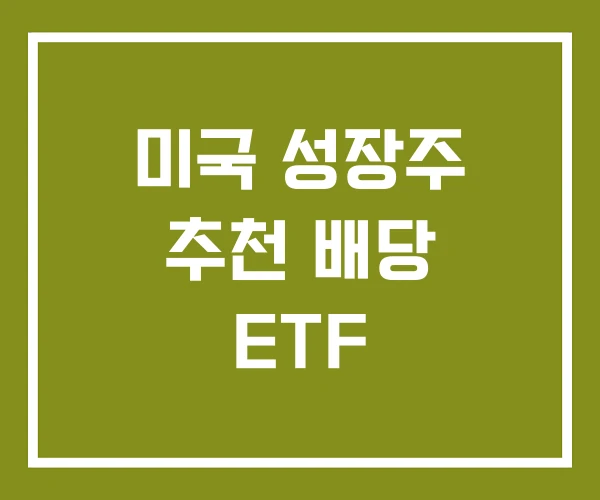 미국 성장주 추천 배당 ETF