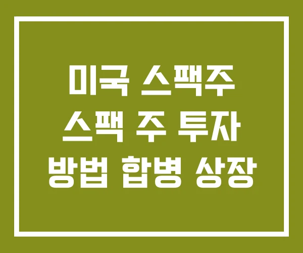 미국 스팩주 스팩 주 투자 방법 합병 상장