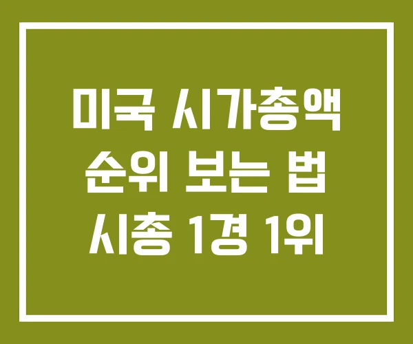 미국 시가총액 순위 보는 법 시총 1경 1위