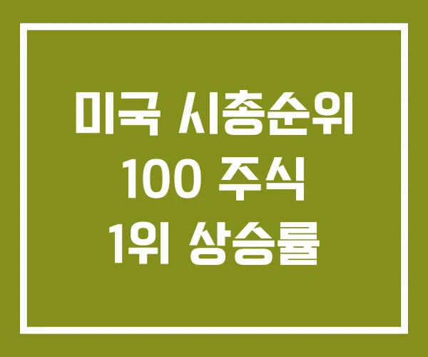 미국 시총순위 100 주식 1위 상승률