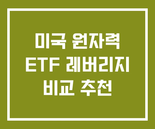 미국 원자력 ETF 레버리지 비교 추천