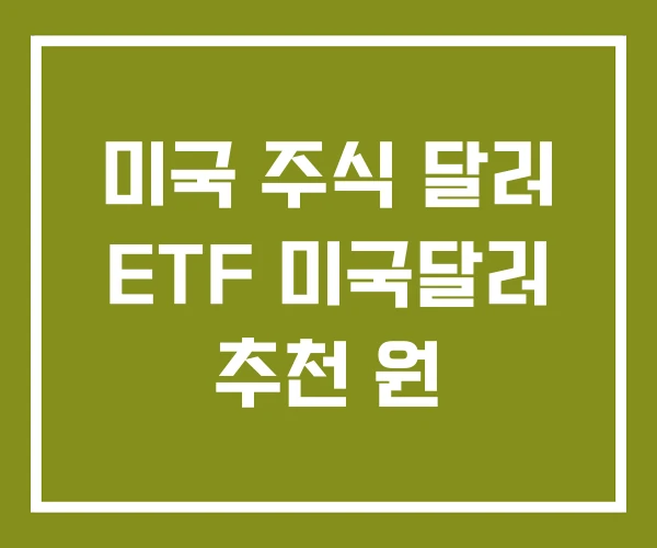 미국 주식 달러 ETF 미국달러 추천 원