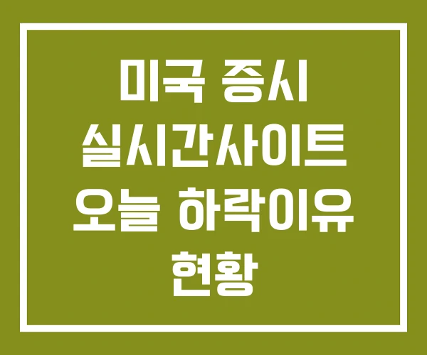 미국 증시 실시간사이트 오늘 하락이유 현황