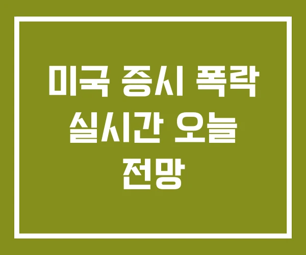 미국 증시 폭락 실시간 오늘 전망