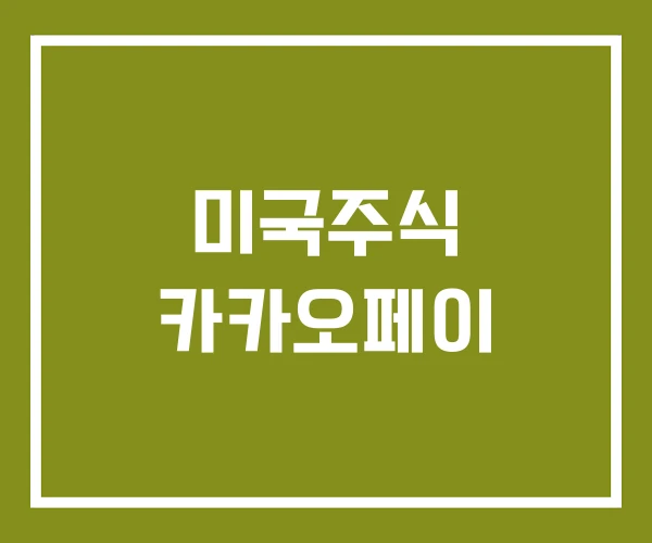 미국주식 카카오페이
