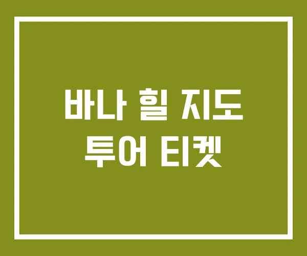 바나 힐 지도 투어 티켓