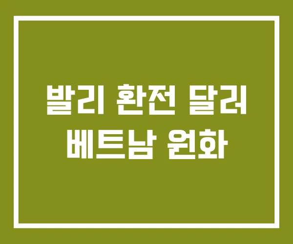 발리 환전 달러 베트남 원화