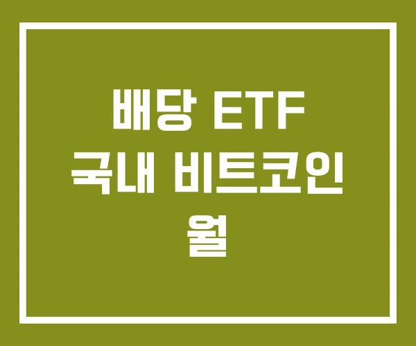 배당 ETF 국내 비트코인 월