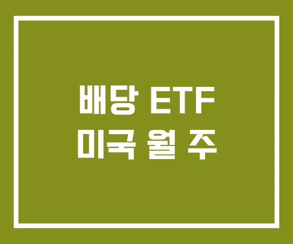 배당 ETF 미국 월 주