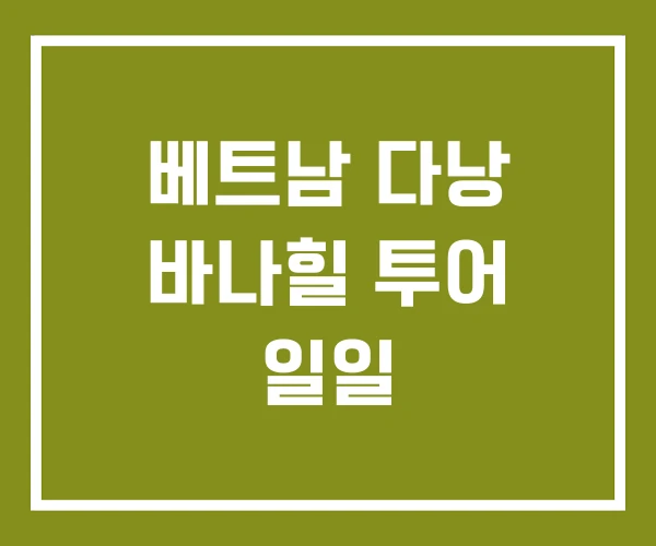 베트남 다낭 바나힐 투어 일일