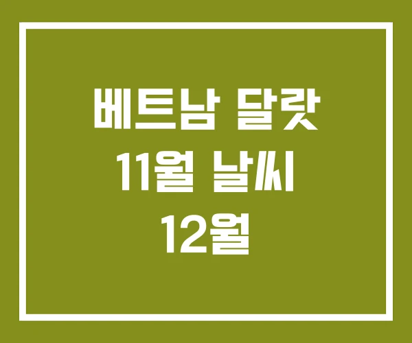 베트남 달랏 11월 날씨 12월