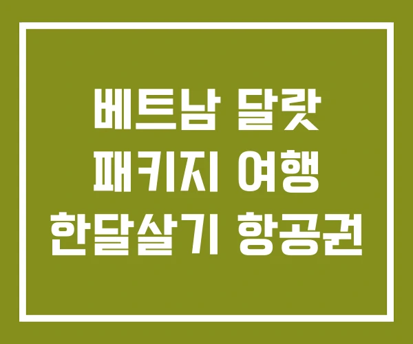 베트남 달랏 패키지 여행 한달살기 항공권