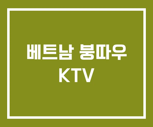 베트남 붕따우 KTV