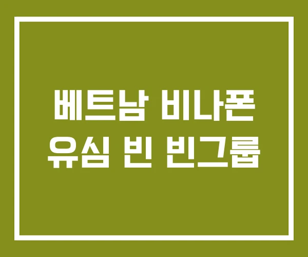 베트남 비나폰 유심 빈 빈그룹