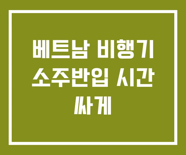 베트남 비행기 소주반입 시간 싸게