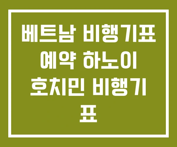 베트남 비행기표 예약 하노이 호치민 비행기 표