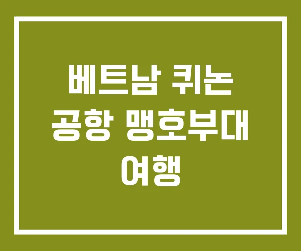 베트남 퀴논 공항 맹호부대 여행
