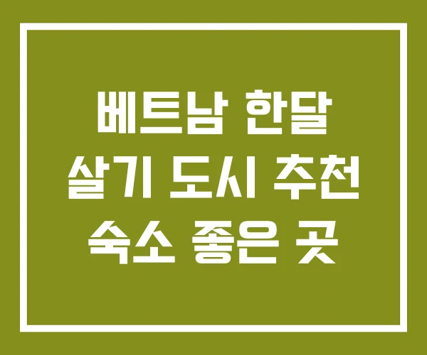 베트남 한달 살기 도시 추천 숙소 좋은 곳