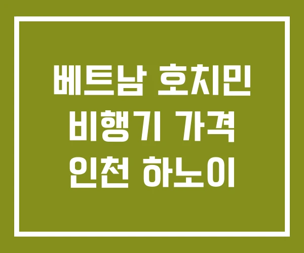 베트남 호치민 비행기 가격 인천 하노이