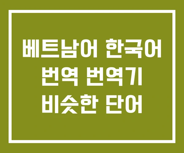 베트남어 한국어 번역 번역기 비슷한 단어