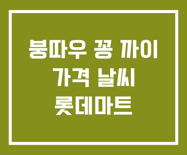 붕따우 꽁 까이 가격 날씨 롯데마트