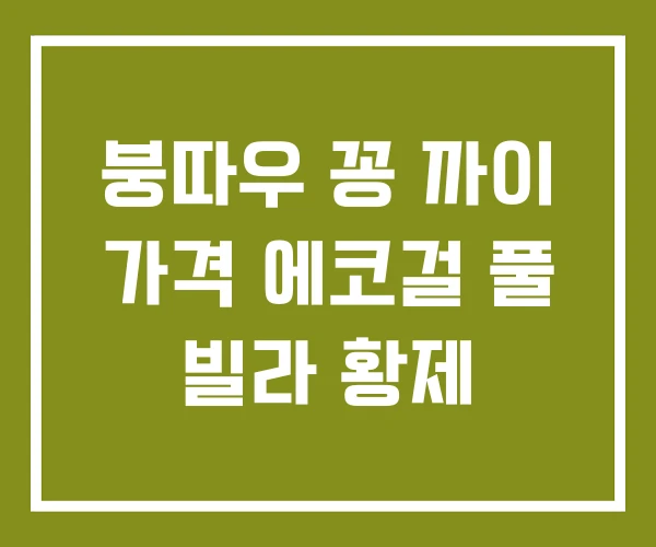 붕따우 꽁 까이 가격 에코걸 풀 빌라 황제
