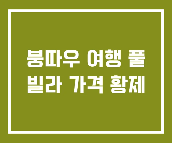 붕따우 여행 풀 빌라 가격 황제