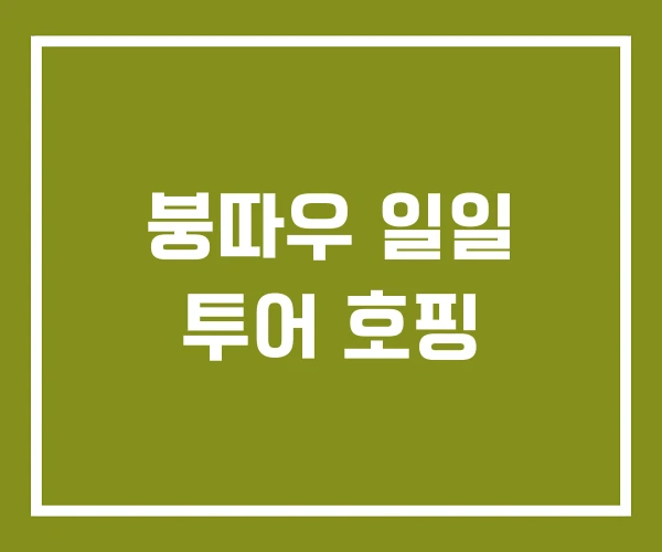 붕따우 일일 투어 호핑