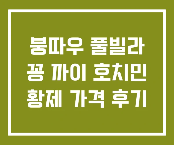 붕따우 풀빌라 꽁 까이 호치민 황제 가격 후기