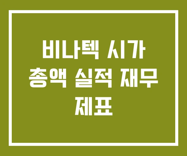 비나텍 시가 총액 실적 재무 제표
