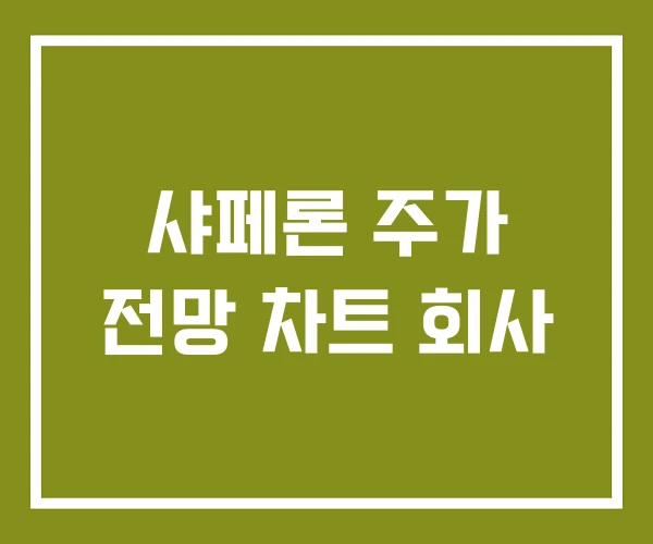 샤페론 주가 전망 차트 회사