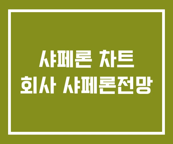 샤페론 차트 회사 샤페론전망