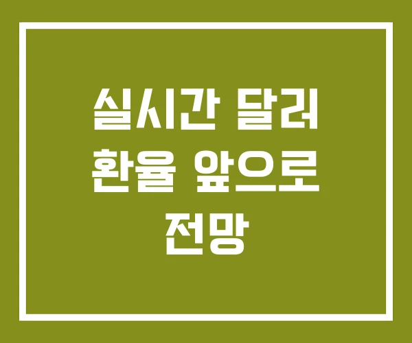 실시간 달러 환율 앞으로 전망