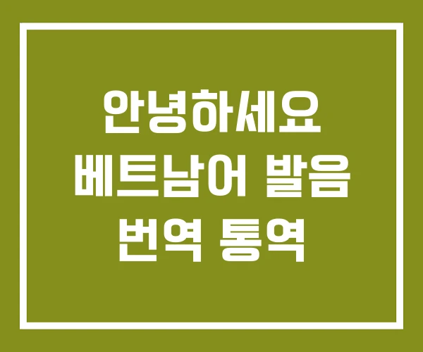 안녕하세요 베트남어 발음 번역 통역