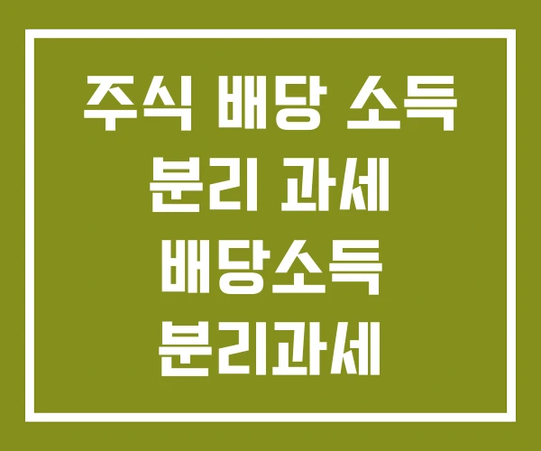 주식 배당 소득 분리 과세 배당소득 분리과세