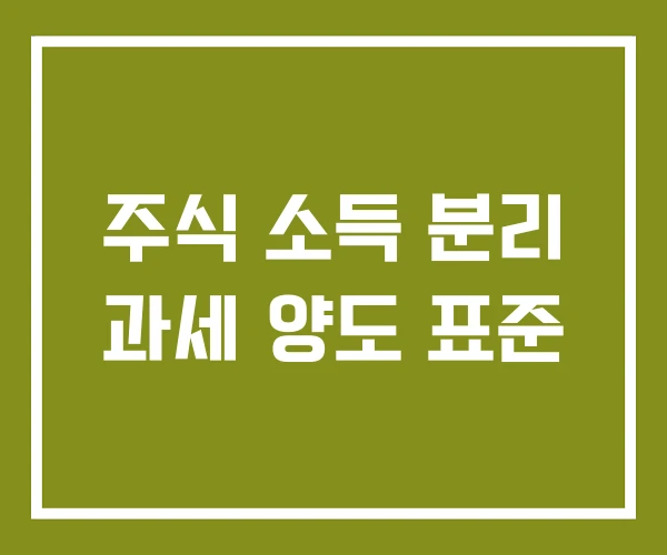 주식 소득 분리 과세 양도 표준