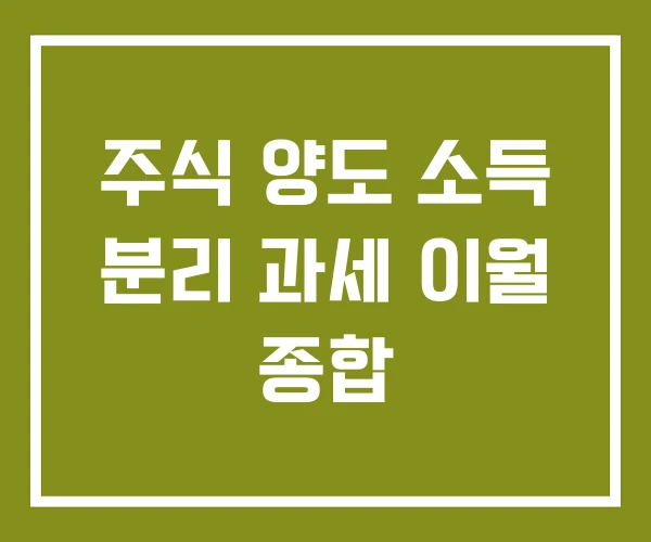 주식 양도 소득 분리 과세 이월 종합