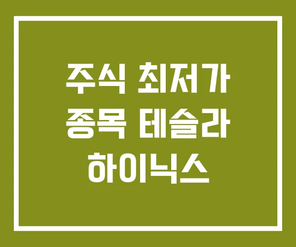 주식 최저가 종목 테슬라 하이닉스